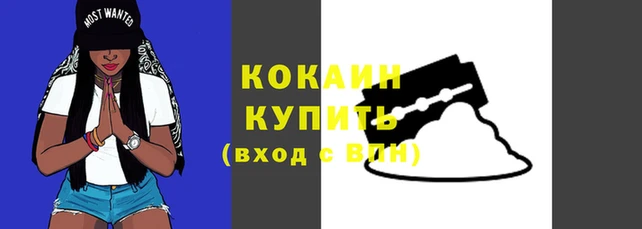 эйфоретик Белокуриха