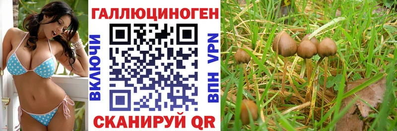 Галлюциногенные грибы Cubensis  Семилуки 