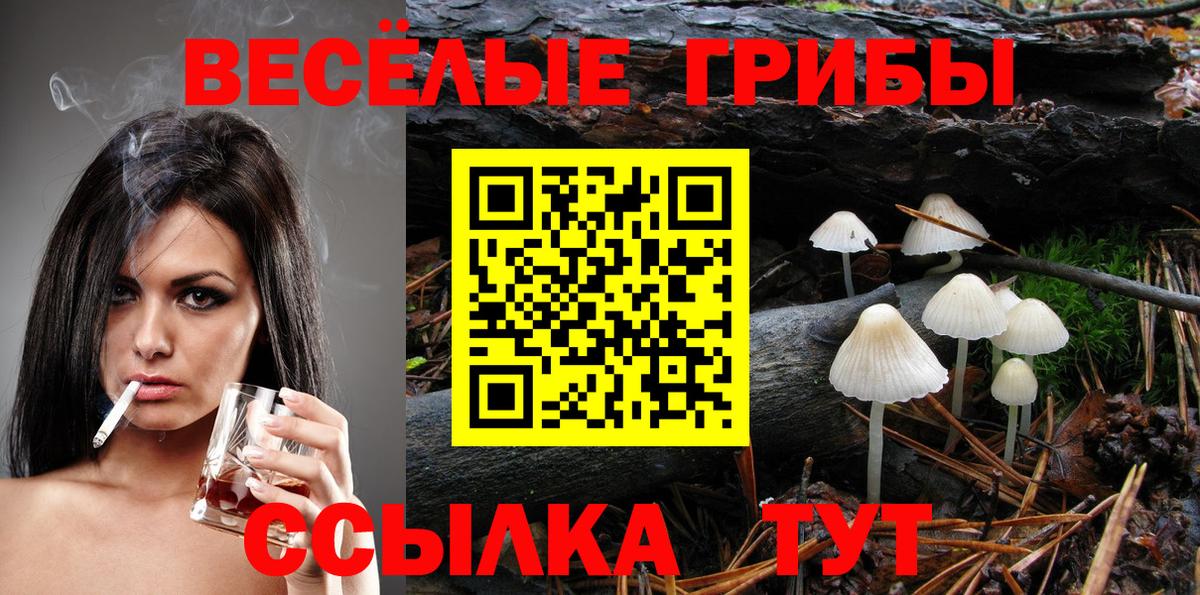Псилоцибиновые грибы GOLDEN TEACHER Семилуки